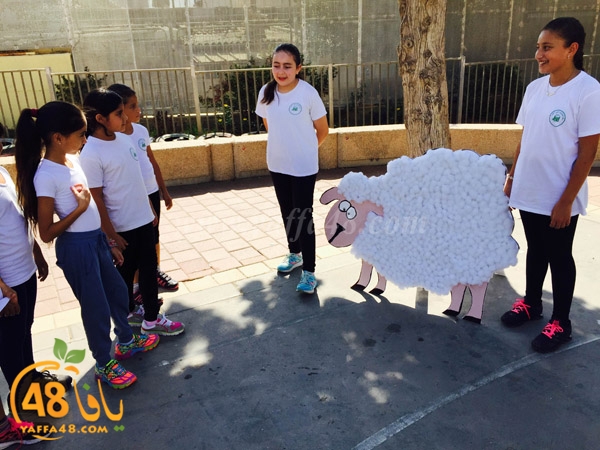 7aj ajayala (23).JPG